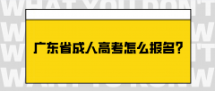 <b>广东省成人高考怎么报名?</b>