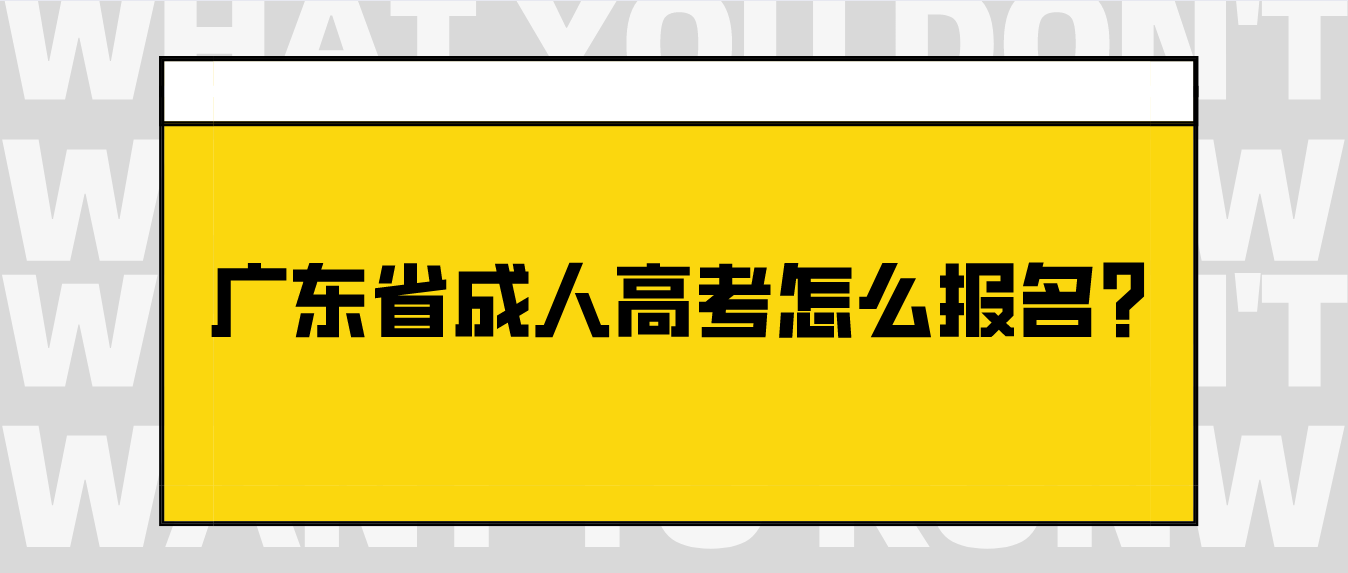 广东省成人高考怎么报名?(图1)