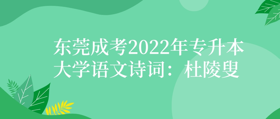  东莞成考2022年专升本大学语文诗词：《杜陵叟》(图1)