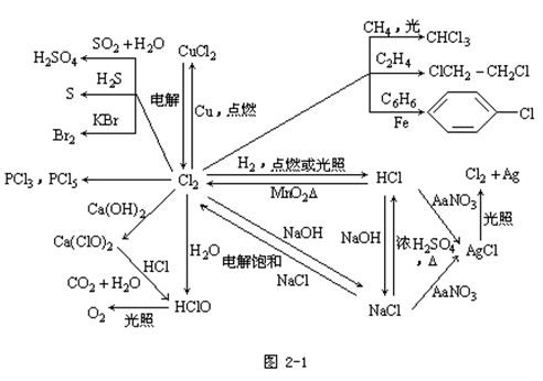 【东莞成人高考】2019年高起点化学元素及其化合(图1)